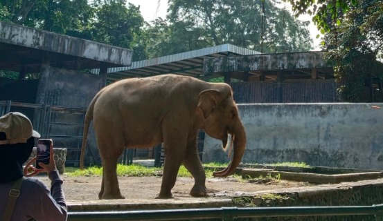 Ragunan Targetkan 90.000 Pengunjung Selama Libur HUT RI ke-80